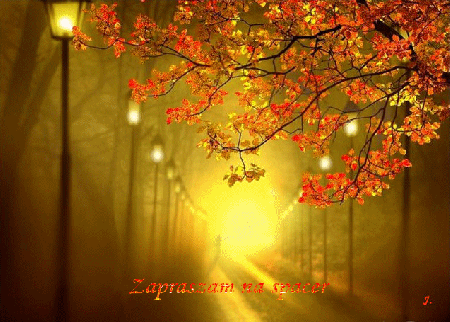 Zapraszam na jesienny spacer